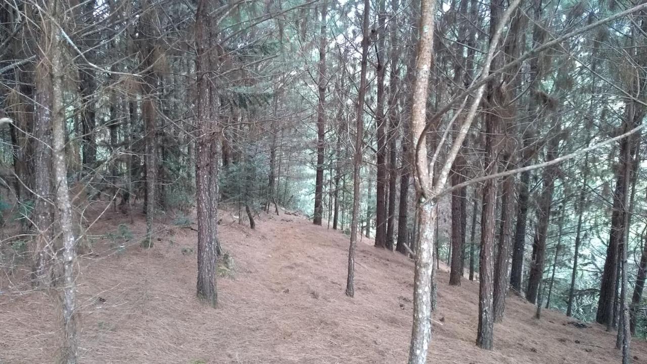 Chale Estancia Ouro Verde لاجيس المظهر الخارجي الصورة